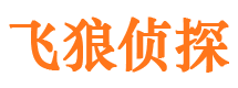 保定出轨调查